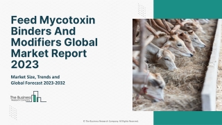 Feed Mycotoxin Binders And Modifiers Global Market Report 2023