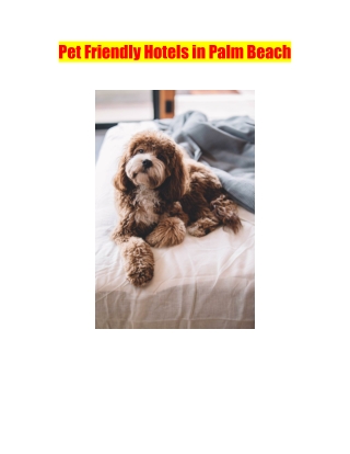 Pet Friendly Hotels in Palm Beach