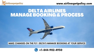 Delta Airlines Manage Booking & Process