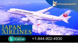 Japan Airlines Manage Booking policy
