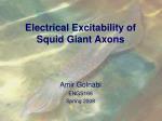 Electrical Excitability of Squid Giant Axons